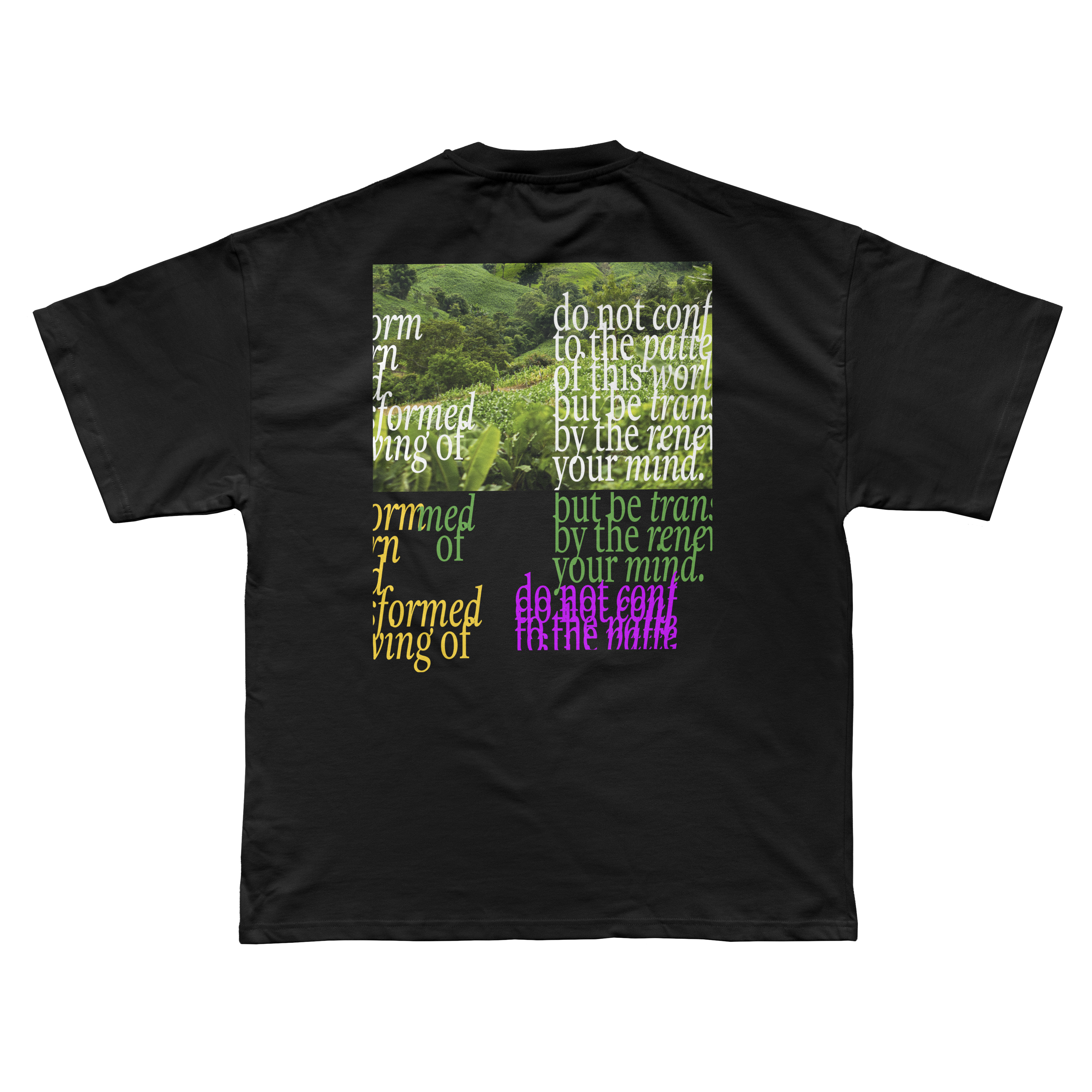 ROMANS 12:2 T Shirt (Unisex)